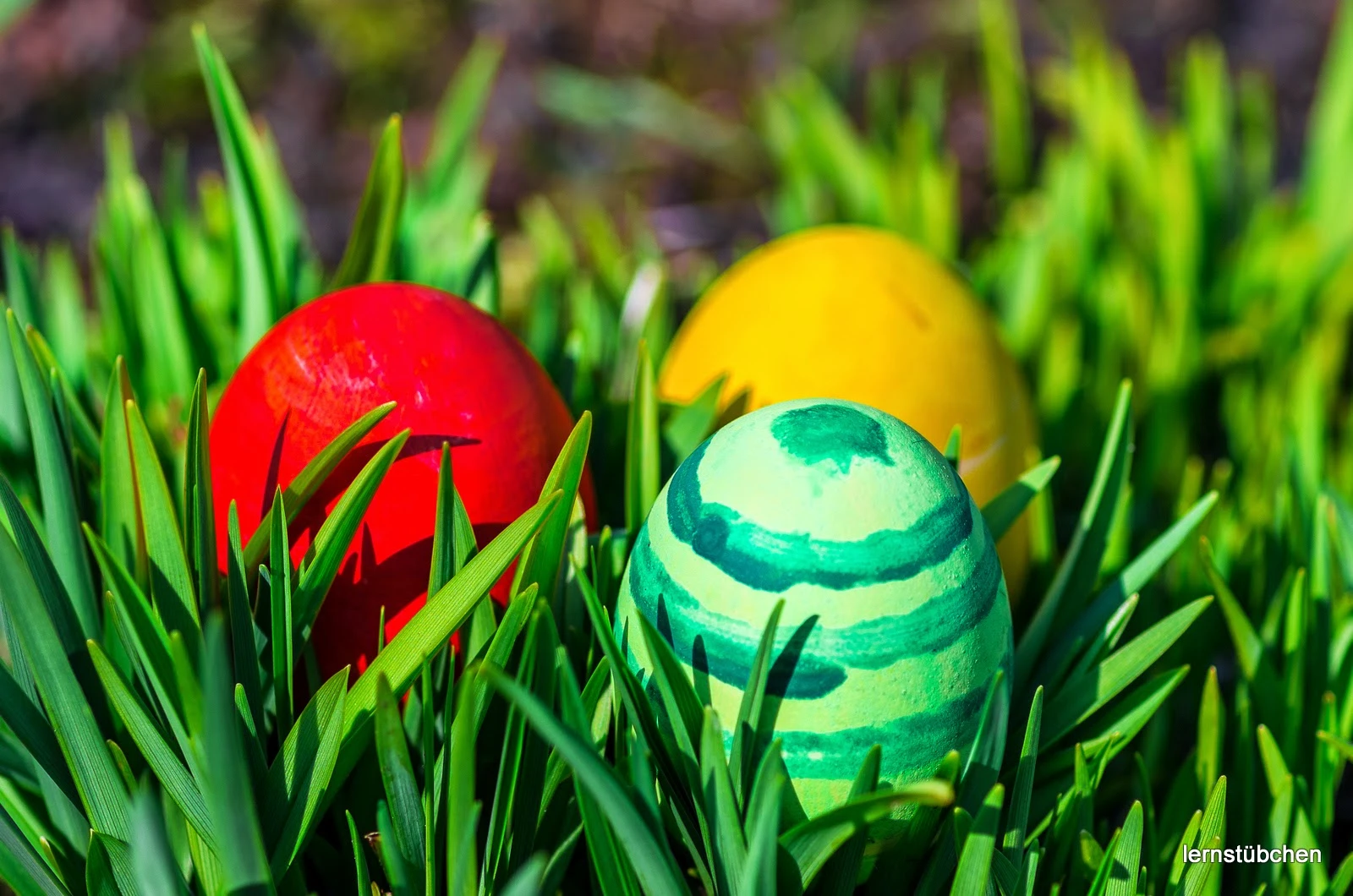 und jetzt werden all die schönen, bunten Eier gefrühstückt ...